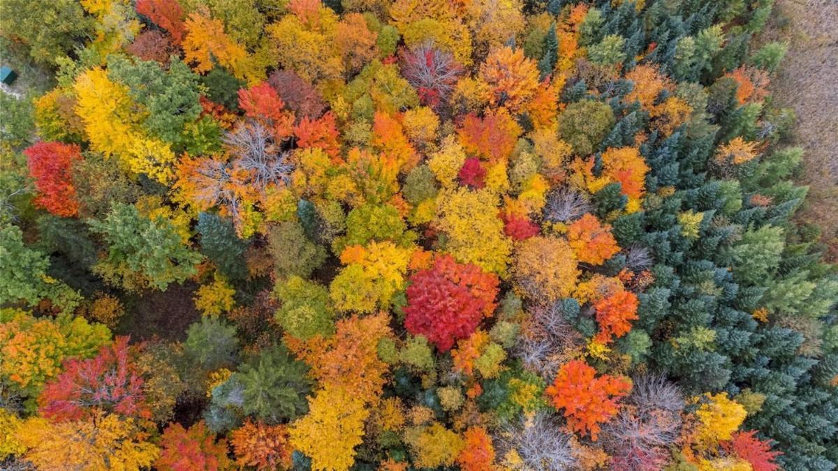 Cheerful Cottage Close To Franconia Notch #4 Carroll Екстериор снимка